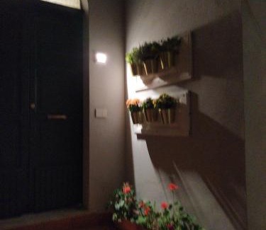 Celso Bed & Breakfast | Discover KISS from CILENTO: Pet-Friendly Retreat Awaits