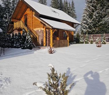 Yablunytsya Hotel | Discover Kisva Hotel: Family-Friendly with Restaurant & Breakfast