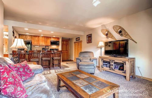 Peak 9 Condo | Kitchen Upgrades! Cozy Condo in Picturesque Breck, Steps from downtown TE217