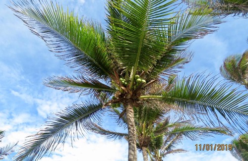 Taiba House | Beautiful Kite Chale Taiba: Pet-Friendly with Ocean Views
