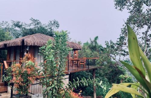 Medadumbara Hotel | Kithula Cabanas - luxury Cabana Kandy
