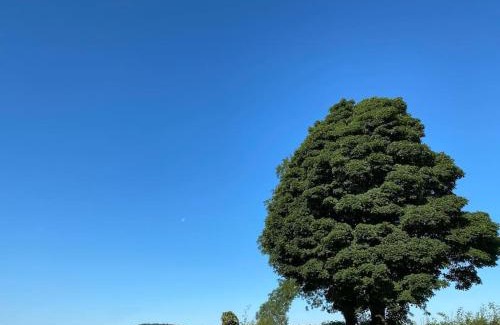 Cumwhitton Apartment | Pet-Friendly Retreat at Kitty’s Place in Eden Valley