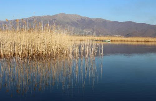 Agios Germanos Apartment | Experience Kivotos Epavlis: Rated 9.8, Family-Friendly Stay
