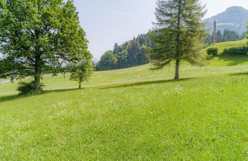 Itter Apartment | Experience Klein Hintermühltalhof: Rated 10/10 & Family-Friendly