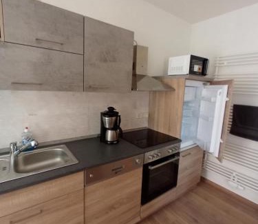 Teuchern Apartment | Cozy One-Room Apartment with Top Amenities for Families