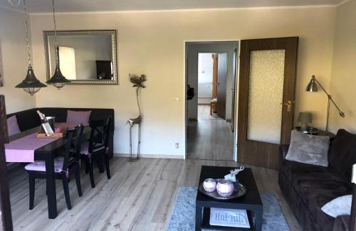 Silbach Apartment | Cozy Kleine Auszeit Winterberg: Pet & Child Friendly Retreat