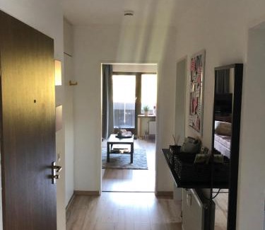 Silbach Apartment | Cozy Kleine Auszeit Winterberg: Pet & Child Friendly Retreat