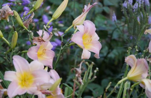 Rodt House | Cozy Villa Surrounded by Nature's Beauty - Guest Rated 9/10