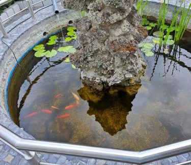 Burgbrohl Apartment | Exceptional Family-Friendly Stay at Kleines Glück Hotel