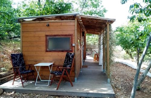 Santo Domingo House | Kleines Refugium unter Kastanien