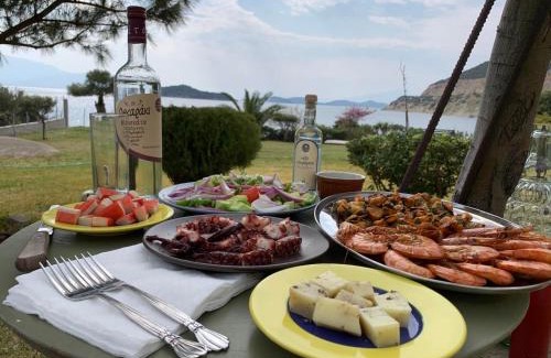 Sarakiniko House | Pet-Friendly Klovino Beach House with Oceanfront Views