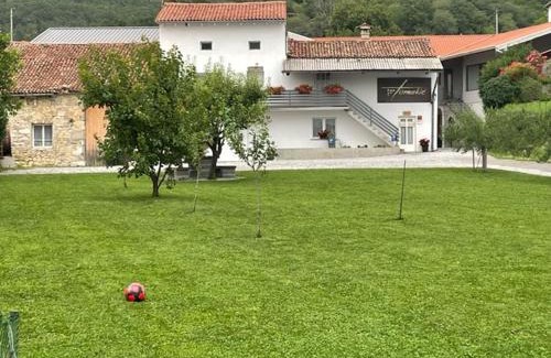 Slap Apartment | Unique Kmetija Tomažič Winery: Family-Friendly Retreat