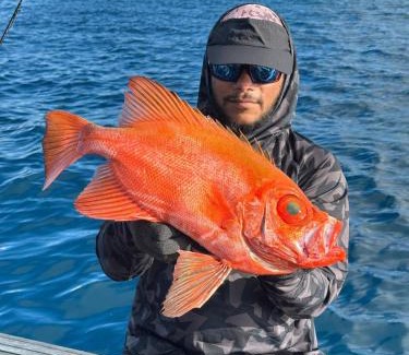 Hulhumale Boat Rental | Knight at Sea Fishing Charter