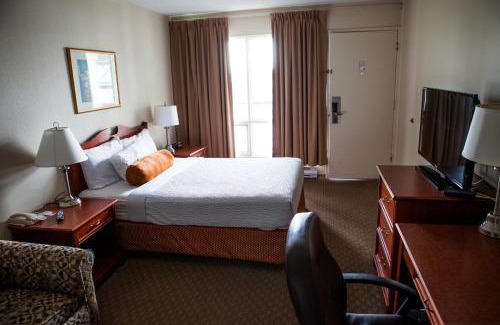 South Lethbridge Hotel | Welcoming Knights Inn Lethbridge: Pet-Friendly Retreat