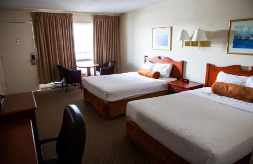 South Lethbridge Hotel | Welcoming Knights Inn Lethbridge: Pet-Friendly Retreat