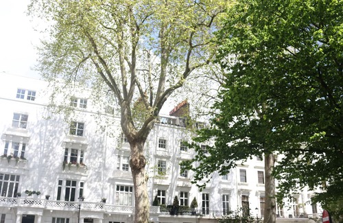 Brompton & Hans Town Apartment | Discover KNIGHTSBRIDGE: Immaculate & Family-Friendly Retreat