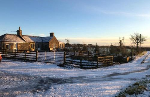 Pittenweem House | Discover a Family-Friendly Oasis at Knightsward Farm