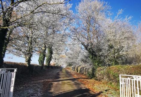 Callan House | Top-Rated Knockreagh Farm Cottages in Callan, Kilkenny