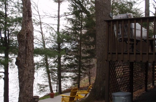 Turtle Lake Cabin | Cozy Knotty Pine Cabin with Lake Views and Pool Access