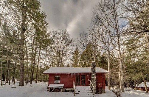 Milford Cottage | Secluded Knotty Pine Cottage with Pool & Spa Amenities