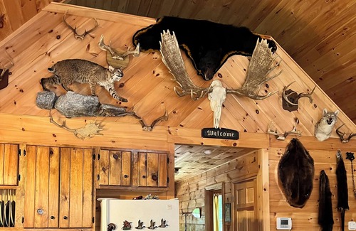 Denmark Cabin | Scenic Knotty Pine Log Cabin: Boating, Fishing & Trails