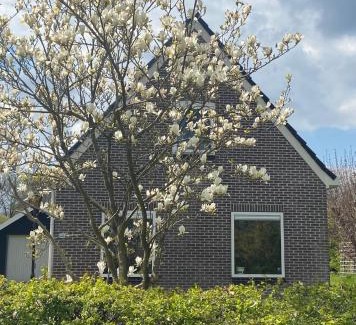 Valthe House | Cozy Getaway at Knusse vakantiewoning Valthe with Pool