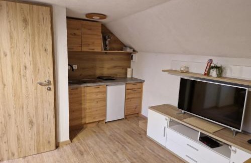 Slovenia Apartment | Pet-Friendly Retreat at Koča na Pikovem - 9.2/10 Rated