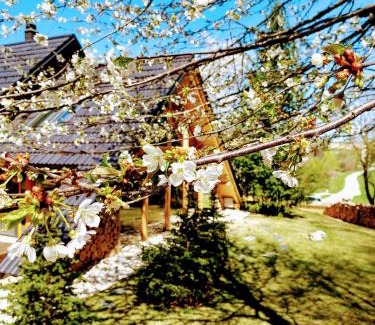 Moravske Toplice House | Find Serenity at Koča na samem - 4-Star Oceanfront Retreat