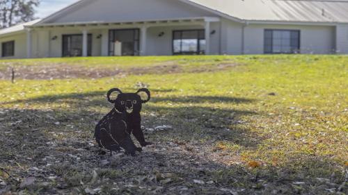 Bonville House | Pet-Friendly Koala Lane with Pool and High Guest Ratings
