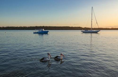 Iluka Cabin | Oceanfront Koala Lodge Studio 1 with Hot Tub & Fireplace