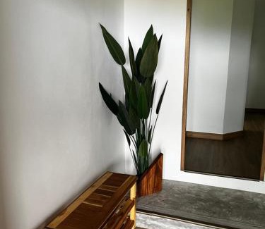 Koh Tao Apartment | Oceanfront Koh Tao Studios with a 9.5/10 Guest Rating