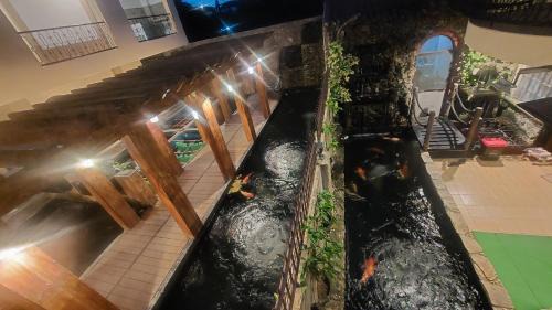 Santa Rosa Bed & Breakfast | Koi Empire Bed and Breakfast