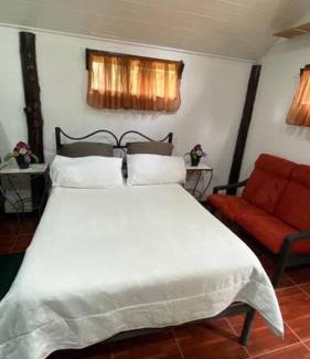 Canton Dota House | Pet-Friendly Koi's House in Quebradillas de Dota