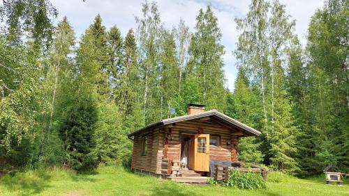 Sulkava House | Discover Koivula Fish Cottage: Pet-Friendly Oceanfront Retreat