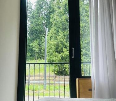 Bakuriani Apartment | Kokhta-Mitarbi Resort, Apartment B3,206
