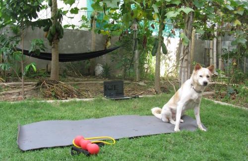Dangkao Bed & Breakfast | Discover KOL House: Family-Friendly Retreat with Kitchen