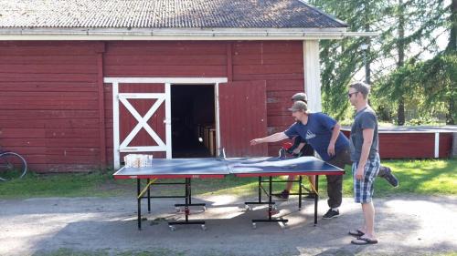 Iisalmi Other | Cozy Koljonvirran Kartano with Beachfront Amenities