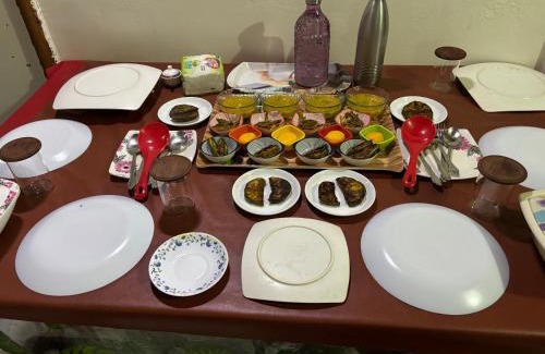 Narendrapur House | Budget-Friendly Sarkar Villa Homestay with Breakfast & Kitchen