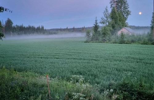 Rautjarvi Apartment | Discover KoloCabins at Hiitolanjoki: Your Ideal Retreat