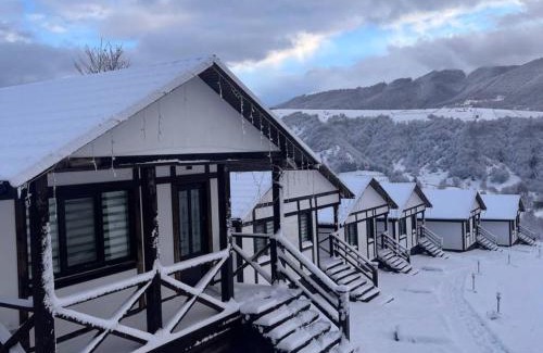 Soymy Hotel | Eco-Friendly Kolochava Resort with Oceanfront Amenities