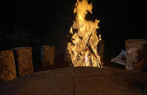 Suryanelli Other | Book Your Stay at Kolukkumalai Camp - Pet Friendly Retreat