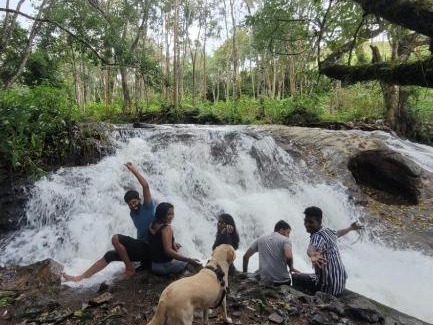 Suryanelli Other | Discover Kolukkumalai Valley Camp: Family & Pet Friendly Retreat