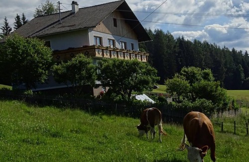 Oberwolz Apartment | Cozy Balcony Room at Fewo Würger with Spa & Breakfast