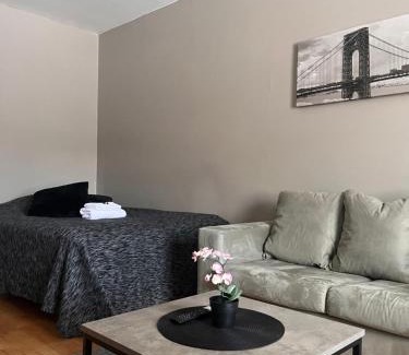 Ylamylly Apartment | Kompakti yksiö Sepis