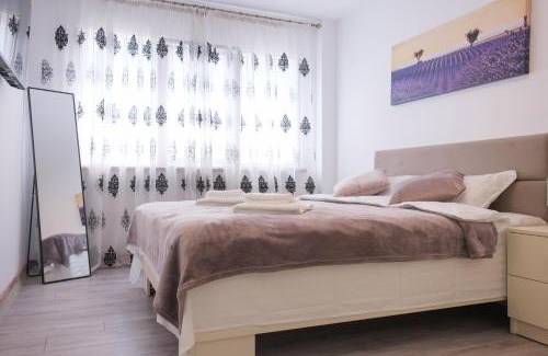 Iasi Apartment | Welcoming Konstanzer Podu Ros 11 - Rated 9.9/10 with Breakfast