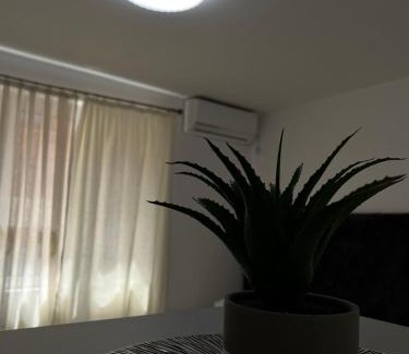Rana Apartment | Family-Friendly Kontiki Apartments - Pet Welcoming Retreat