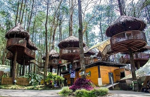 Getasan Other | Discover Kopeng Treetop Adventure Park with Family-Friendly Fun