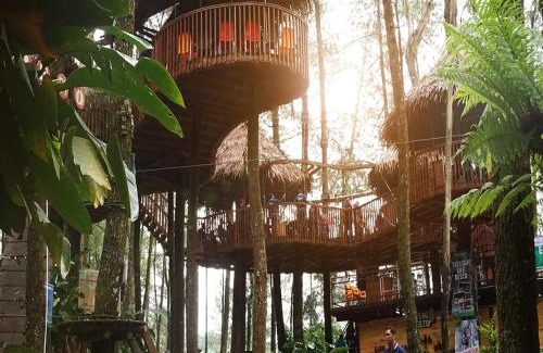 Getasan Other | Discover Kopeng Treetop Adventure Park with Family-Friendly Fun