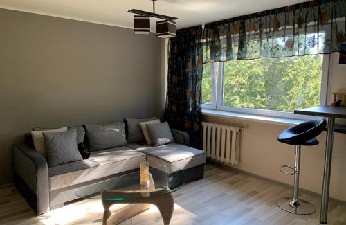 Torva Apartment | Family-Friendly Korteriühistu 66 with Pet Amenities
