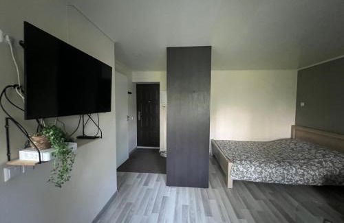 Torva Apartment | Family-Friendly Korteriühistu 66 with Pet Amenities